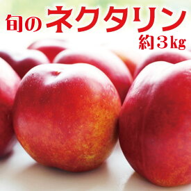楽天市場 ふるさと納税 桃 フルーツ 果物 食品の通販