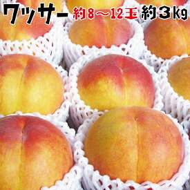 楽天市場 ふるさと納税 桃 フルーツ 果物 食品の通販