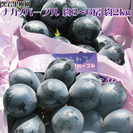 楽天市場 ナガノパープルの通販 楽天市場 ナガノパープルの通販