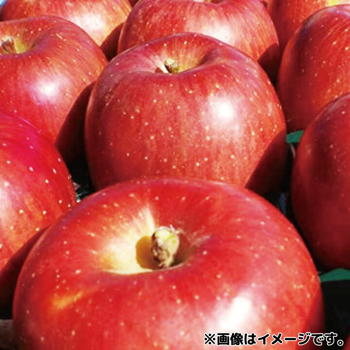 楽天市場】【ふるさと納税】あいかの香り 訳ありリンゴ 約11~18玉 約5kg 《黒岩果樹園》2022年発送※11月上旬頃~12月下旬頃まで順次発送予定 果物 フルーツ りんご 林檎 訳あり 家庭用 : 長野県須坂市 楽天市場】【ふるさと納税】あいかの香り 訳ありリンゴ 約11~18玉 約5kg 《黒岩果樹園》2022年発送※11月上旬頃~12月下旬頃まで順次発送予定 果物 フルーツ りんご 林檎 訳あり 家庭用 : 長野県須坂市