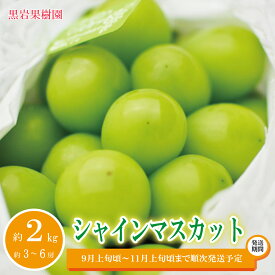 【ふるさと納税】シャインマスカット【内容量が選択可能】900g 1kg 1.2kg 2kg 3kg 4kg 1.4kg以上（大房2房）《黒岩果樹園》■2024年発送■※9月上旬頃～11月上旬頃にかけて順次発送予定 果物 ぶどう フルーツ 先行予約 予約