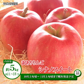 【ふるさと納税】シナノスイート 訳ありりんご 約5kg (約11～18玉) 《黒岩果樹園》■2024年発送■※10月上旬頃～11月上旬頃まで順次発送予定 果物 フルーツ りんご