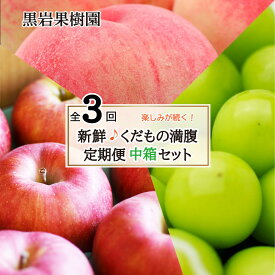 【ふるさと納税】【新鮮♪くだもの満腹定期便（中箱セット）】桃・シャインマスカット・りんご 全3回（7～8月・9～10月・11～12月）《黒岩果樹園》■2024年発送■※7月中旬頃～12月下旬頃まで順次発送予定　定期便