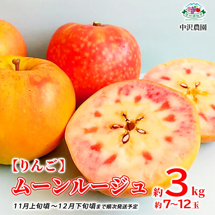 楽天市場】【ふるさと納税】【りんご】ムーンルージュ 約3kg (約7～12 