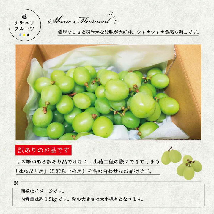 楽天市場】【ふるさと納税】新鮮朝採り発送☆ 訳あり シャイン 