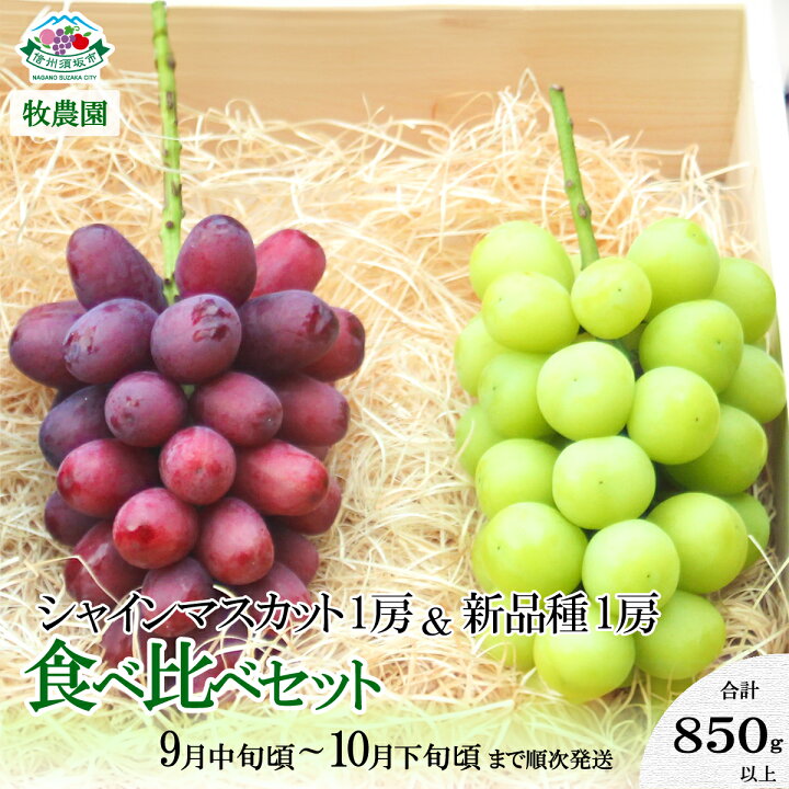 楽天市場】【ふるさと納税】シャインマスカット1房＆新品種1房食べ比べ 