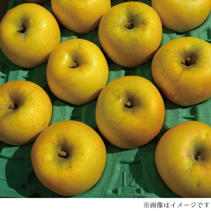 楽天市場】【ふるさと納税】2022年産【秀品】シナノゴールド 約5kg(約11~20個)《遠山農園》2022年発送※10月下旬頃~11月下旬頃まで順次発送予定 フルーツ 果物 りんご リンゴ 林檎 : 長野県須坂市 楽天市場】【ふるさと納税】2022年産【秀品】シナノゴールド 約5kg(約11~20個)《遠山農園》2022年発送※10月下旬頃~11月下旬頃まで順次発送予定 フルーツ 果物 りんご リンゴ 林檎 : 長野県須坂市