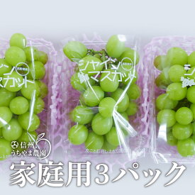 【ふるさと納税】先行受付【家庭用 パック詰め】シャインマスカット(約350g×3パック)《信州うちやま農園》■2024年発送■※9月上旬頃～10月下旬頃まで順次発送予定 フルーツ 果物 ぶどう ブドウ 葡萄 シャインマスカット 家庭用 1kg以上 先行予約 予約