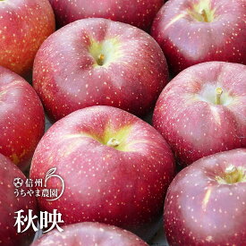 【ふるさと納税】甘さも酸味も強め！信州の代表格『秋映』約5kg（約12～16玉）《信州うちやま農園》■2024年発送■※10月上旬頃～10月下旬頃まで順次発送予定 フルーツ 果物 りんご リンゴ 林檎