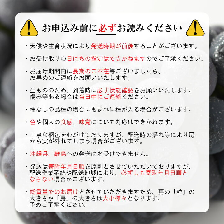 9300円 【祝開店!大放出セール開催中】 ふるさと納税 こだわり葡萄酒 ナガノパープルワイン 長野 酒 ワイン 信州産 特産 産地直送 おすすめ 飲み切り ハーフボトル 記念日 長野県箕輪町 9300円 【祝開店!大放出セール開催中】 ふるさと納税 こだわり葡萄酒 ナガノパープルワイン 長野 酒 ワイン 信州産 特産 産地直送 おすすめ 飲み切り ハーフボトル 記念日 長野県箕輪町