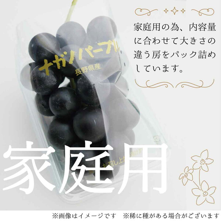 ナガノパープル 長野県産 コンパクトで発送 内容量1kg以上