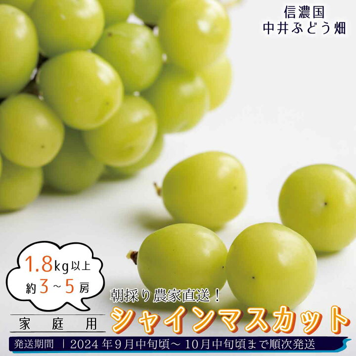 楽天市場】【ふるさと納税】朝採り農家直送！シャインマスカット 1.8kg  