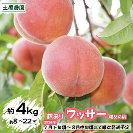 【ふるさと納税】訳ありワッサー約4kg（約8～22玉）硬めの桃《土屋農園》■2024年発送■※7月下旬頃～8月中旬頃まで順次発送予定 果物 もも フルーツ