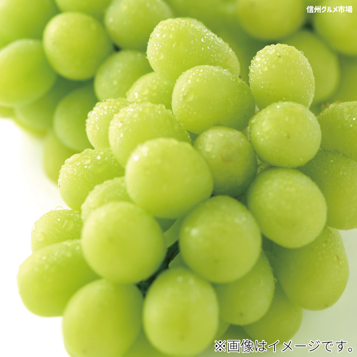 アイテムID:667634の画像3枚目
