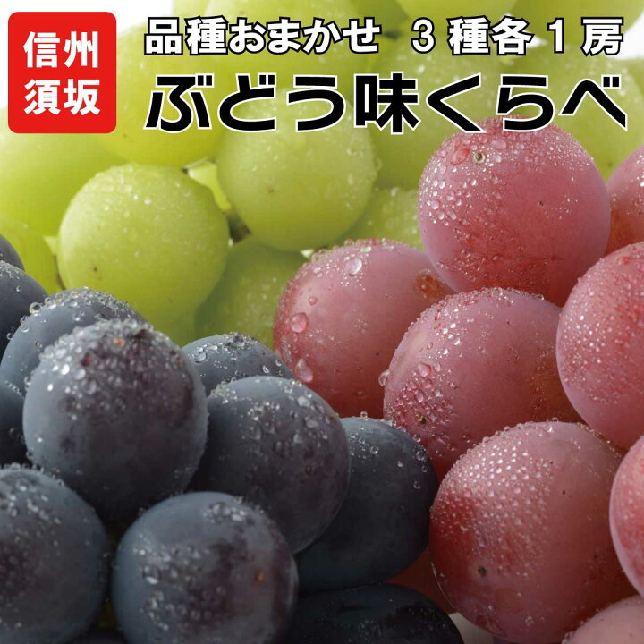 楽天市場 ふるさと納税 葡萄三昧 高級ぶどう味くらべセット 3種各1房 信州グルメ市場 22年発送 9月中旬頃 10月下旬頃まで順次発送予定 果物 フルーツ ぶどう ブドウ 葡萄 シャインマスカット 詰め合わせ 先行予約 期間限定 数量限定 長野県須坂市