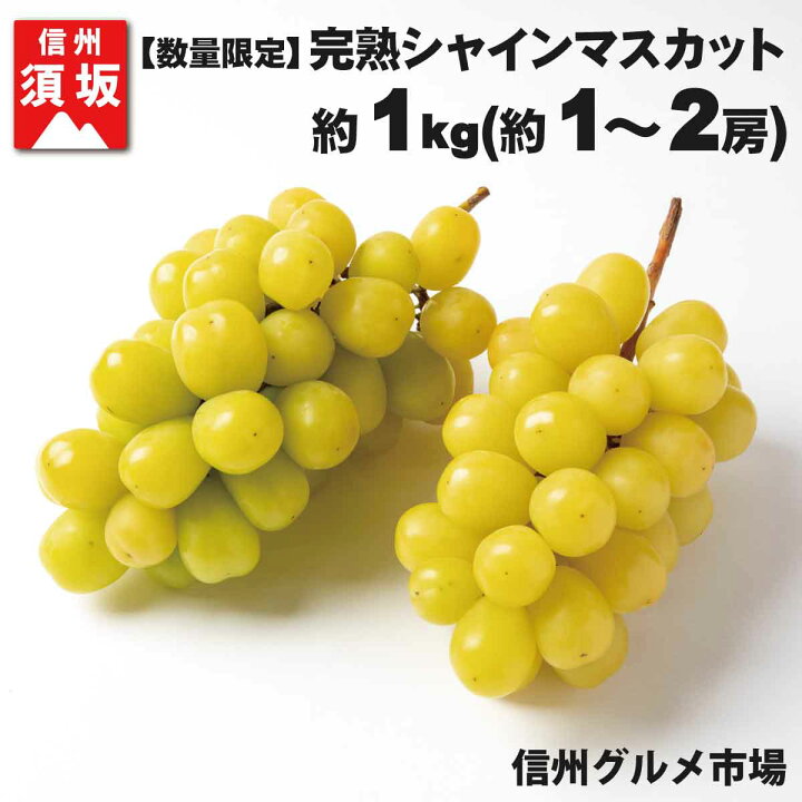 楽天市場 ふるさと納税 数量限定 完熟シャインマスカット 約1 2房 約1kg 信州グルメ市場 23年発送 9月中旬頃 10月下旬頃まで順次発送予定 果物 フルーツ ぶどう ブドウ 葡萄 先行予約 期間限定 数量限定 完熟 長野県須坂市