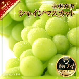 【ふるさと納税】シャインマスカット 【内容量が選択可能】700g 900g 1kg 1.2kg 1.5kg 1.8kg 2kg 3kg 5kg 【定期便】約1kg 計3回お届け ■2024年発送■ ※9月上旬頃～10月下旬頃まで順次発送予定《信州グルメ市場》 先行予約 数量限定 期間限定 果物 フルーツ ぶどう ブドウ