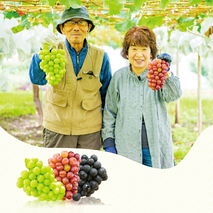 楽天市場】【ふるさと納税】皮ごと食べられる ブドウ詰め合わせ 約4kg  