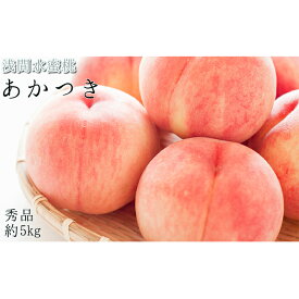 楽天市場 ふるさと納税 桃 総重量 果物 5 00 5 99kg 食品 の通販