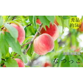 楽天市場 ふるさと納税 桃 5kgの通販