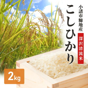 �y�ӂ邳�Ɣ[�Łz�����s�f�n�Y�����Ђ���u�[�򐴗��āv2kg�@���� �M�B �R�V�q�J�� ���� ������������ ������ ������ ���ā@���͂��F��t�����m�F��A1�����ȓ��ɔ����v���܂��B