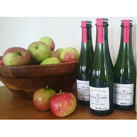 【ふるさと納税】小諸産りんごの発泡酒 シードル3本セット お酒 プレゼント おしゃれ 辛口 信州 長野 お土産 ご当地 お取り寄せ お酒／ワイン 洋酒 アップル リンゴ スパークリングワイン