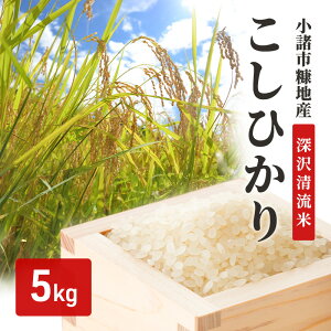 �y�ӂ邳�Ɣ[�Łz�����s�f�n�Y�����Ђ���u�[�򐴗��āv5kg�@���� �M�B �R�V�q�J�� ���� ������������ ������ ������ ���ā@���͂��F��t�����m�F��A1�����ȓ��ɔ����v���܂��B