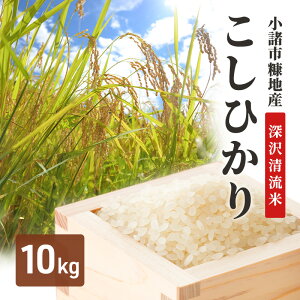 yӂ邳Ɣ[ŁzsfnYЂu[򐴗āv10kg@ MB RVqJ     ā@͂FtmFA1ȓɔv܂B