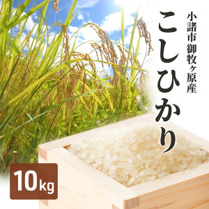 �y�ӂ邳�Ɣ[�Łz���� ��q�����Y �����Ђ��� 10kg�@���� �M�B �R�V�q�J�� ���� ������������ ������ ������ ���ā@���͂��F��t�����m�F��A1�����ȓ��ɔ����v���܂��B