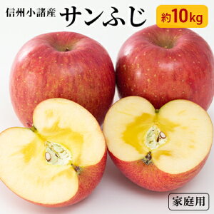 yӂ邳Ɣ[ŁzTӂ  ƒp 10kg 쌧Y ʕ ь  S t[c s@͂F2025N11{`12{