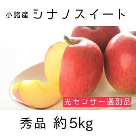 【ふるさと納税】信州小諸産 シナノスイート 秀品 約5kg 長野県産 果物類 林檎 りんご リンゴ　【果物類・林檎・りんご・リンゴ・シナノスイート・約5kg】　お届け：2024年10月中旬～10月下旬