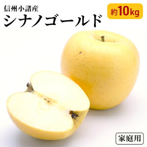 yӂ邳Ɣ[ŁzVimS[h ƒp 10kg 쌧Y ʕ ь  S t[c s @͂F2025N10{`11{