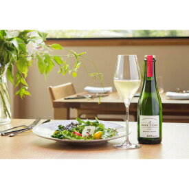 【ふるさと納税】小諸産シードル　家飲み8本セット（DRY・SEMISWEET) ワイン お酒