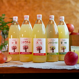 【ふるさと納税】【おまかせ】りんごジュース5本セット　【飲料類・果汁飲料・りんご・ジュース・リンゴ・ガラス瓶】