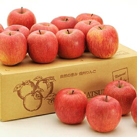 【ふるさと納税】信州小諸　松井農園のサンふじ　約5kg 果物類・林檎・りんご・リンゴ　【果物類・林檎・りんご・リンゴ】　お届け：2024年12月上旬～2025年1月中旬
