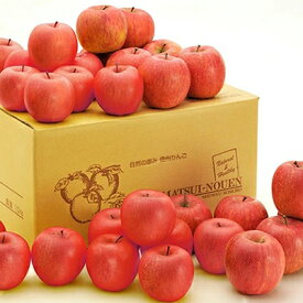 【ふるさと納税】信州小諸　松井農園のシナノスイート　約10kg 果物類・林檎・りんご・リンゴ　【果物類・林檎・りんご・リンゴ】　お届け：2024年10月中旬～2024年11月上旬