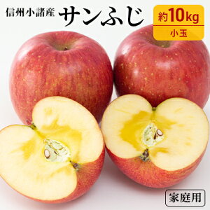 yӂ邳Ɣ[ŁzTӂ  ƒp  10kg 쌧Y ʕ ь  S t[c s@͂F2025N11{`12{