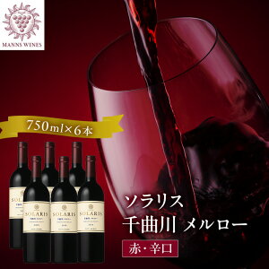 yӂ邳Ɣ[Łz{C \X Ȑ [ 750ml×6{ C ԃC }YC   m ʎ Ԃǂ  쌧s