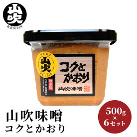 【ふるさと納税】9月30日掲載終了 味噌 山吹味噌 コクとかおり 500g×6 セット 信州味噌 みそ ミソ 熟成 信州 信州みそ 無添加 調味料 小分け 長野県 長野 　お届け：寄附入金確認後、1ヶ月以内に発送いたします。