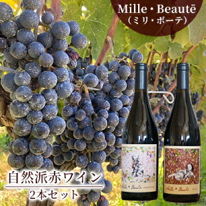 【ふるさと納税】Mille・Beaute (ミリ・ボーテ)無添加 無濾過 赤ワイン 2本セット お酒 晩酌 家飲み 宅飲み 飲み比べ ワイン飲み比べ 自生酵母 6か月間熟成 香り豊か 深い味わい 香り 果実味