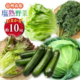 【ふるさと納税】信州高原塩熟野菜 約10kg お任せ 野菜セット 野菜詰め合わせ レタス キャベツ ズッキーニ カリーノケール サニー おたのしみ　お届け：2026年1月中旬～4月下旬