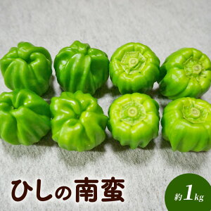 yӂ邳Ɣ[ŁzЂ̓ 1kg  Y Y AIgEKV MB̓` _炩 {̐H {̖ @͂F2025N7{`10{