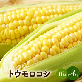 【ふるさと納税】トウモロコシ（味来・ゴールドラッシュ）10本　約4kg　【 野菜 コーン 甘い 生でも食べられる 食材 国産 国産野菜 グルメ 】　お届け：2024年8月下旬～10月上旬