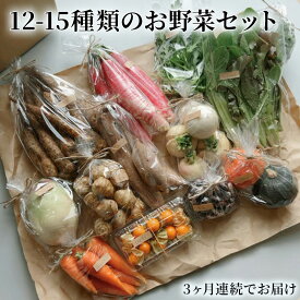 【ふるさと納税】野菜の定期便 てのひら小諸 12～15種類 3ヶ月連続お届け　【定期便・小諸市】　お届け：寄附金のご入金確認後の翌月から発送いたします