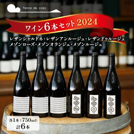 【ふるさと納税】ワイン 6本セット 赤ワイン 白ワイン お酒 酒 アルコール 長野県 小諸市 小諸 ギフト プレゼント