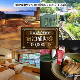 【ふるさと納税】登山電車で行く絶景露天風呂がある宿「常盤館」宿泊補助券100000円分 信州 ご当地 グルメ