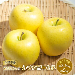 yӂ邳Ɣ[Łz Ɨp VimS[h Iׂe (3.5kg`5kg) MB S ь ʕ  t[c MB @͂F2025N11{`2026N1{
