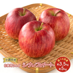 yӂ邳Ɣ[Łz Ɨp VimXC[g Iׂe (3.5kg`5kg) MB S ь ʕ  t[c MB @͂F2025N10{`2025N11{