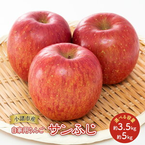 yӂ邳Ɣ[Łz Ɨp Tӂ Iׂe (3.5kg`5kg) MB S ь ʕ  t[c MB @͂F2025N12{`2026N1{