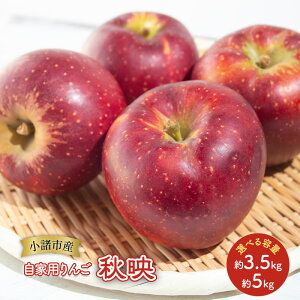 yӂ邳Ɣ[Łz Ɨp Hf Iׂe (3.5kg`5kg) MB S ь ʕ  t[c MB @͂F2025N9{`2025N10{